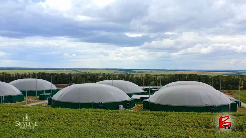 Skyline Wealth: Building Value Through Sustainability