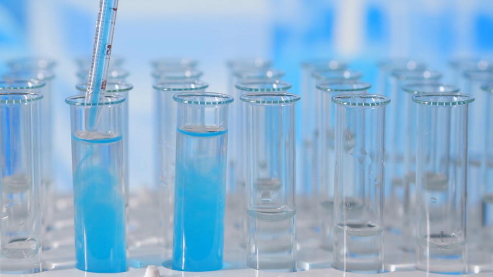 Small Pharma psychedelics