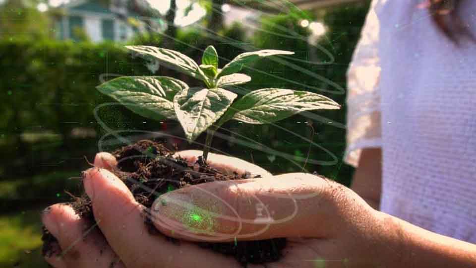 TD Asset Management: Helping You Achieve Your Goals