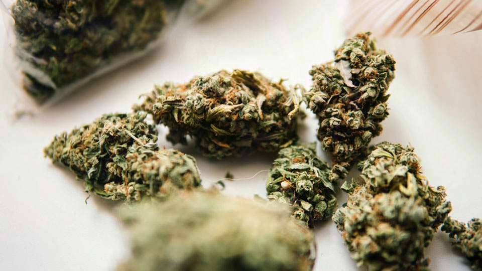 Certified Organic Cannabis