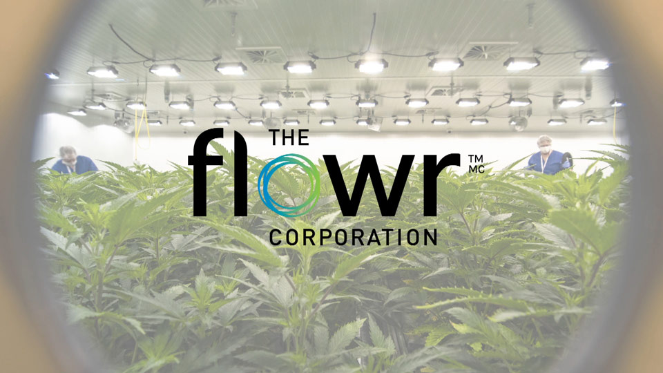 The Flowr Corporation cannabis