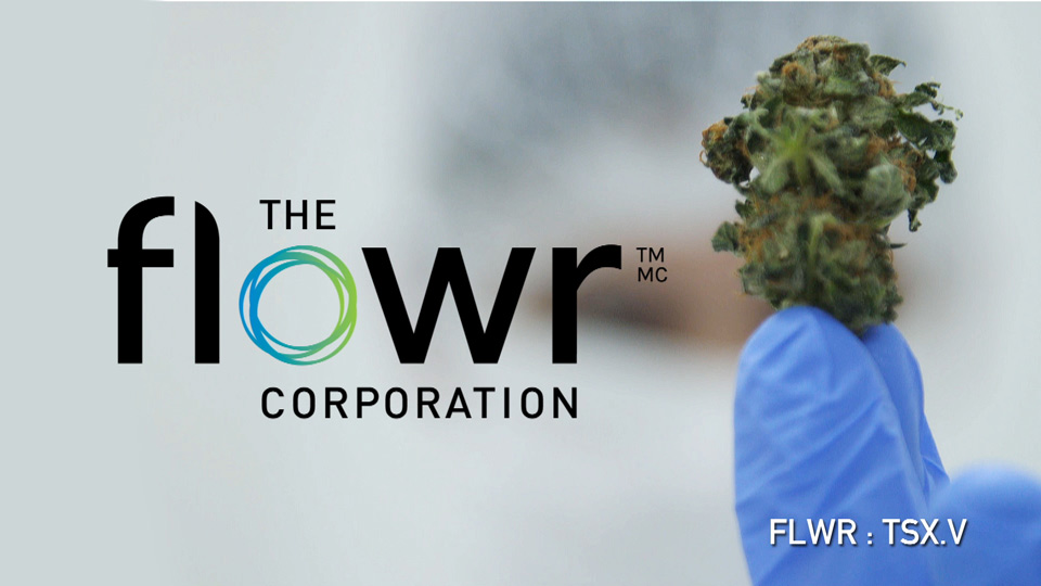 The Flowr Corporation cannabis