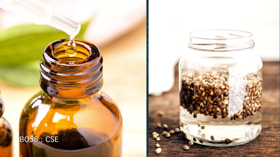 The Yield Growth cannabis and wellness