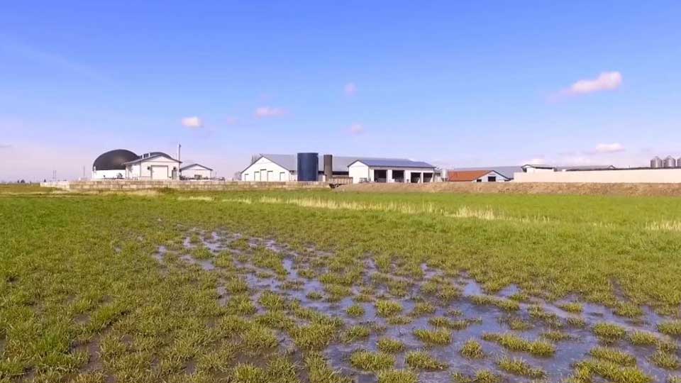 Greenlane Renewables