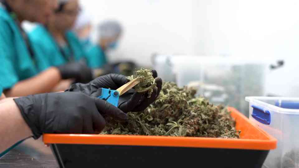 Vext Science cannabis