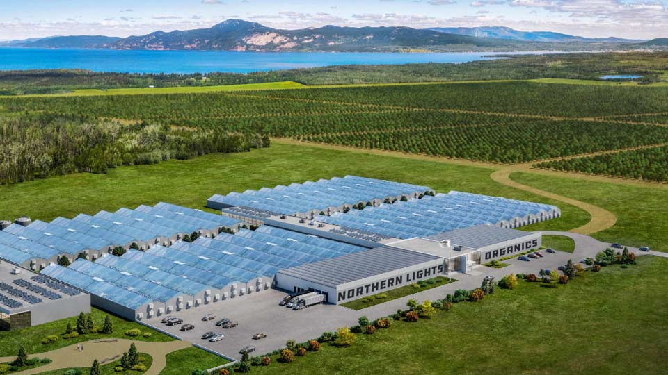 Weekend Unlimited THC CBD recreational cannabis