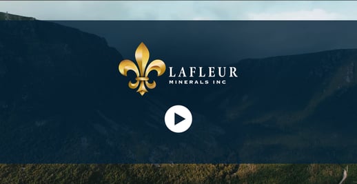 LaFleur Website