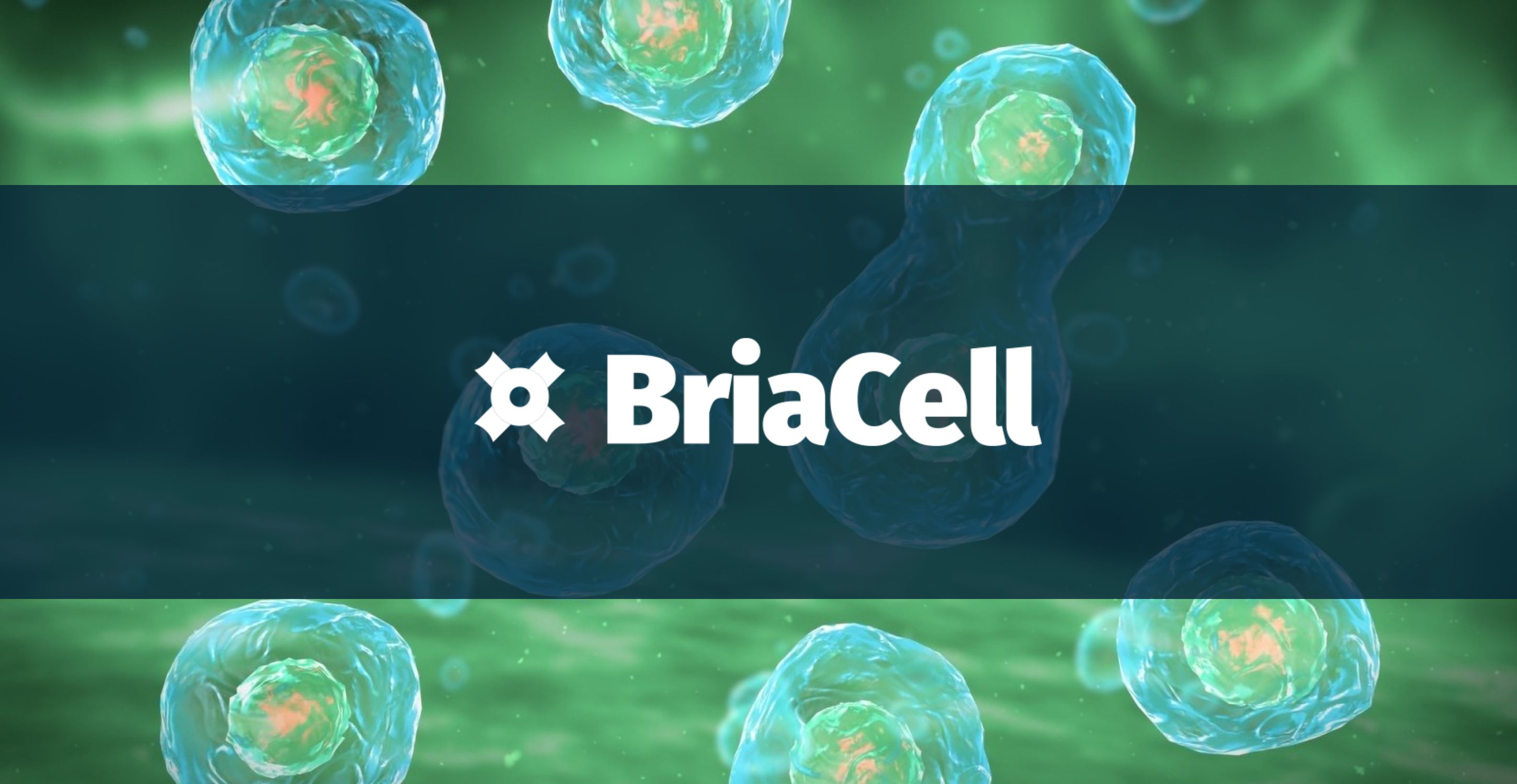 BriaCell: Advancing Toward Approval with Late-Stage Breast Cancer Immunotherapy