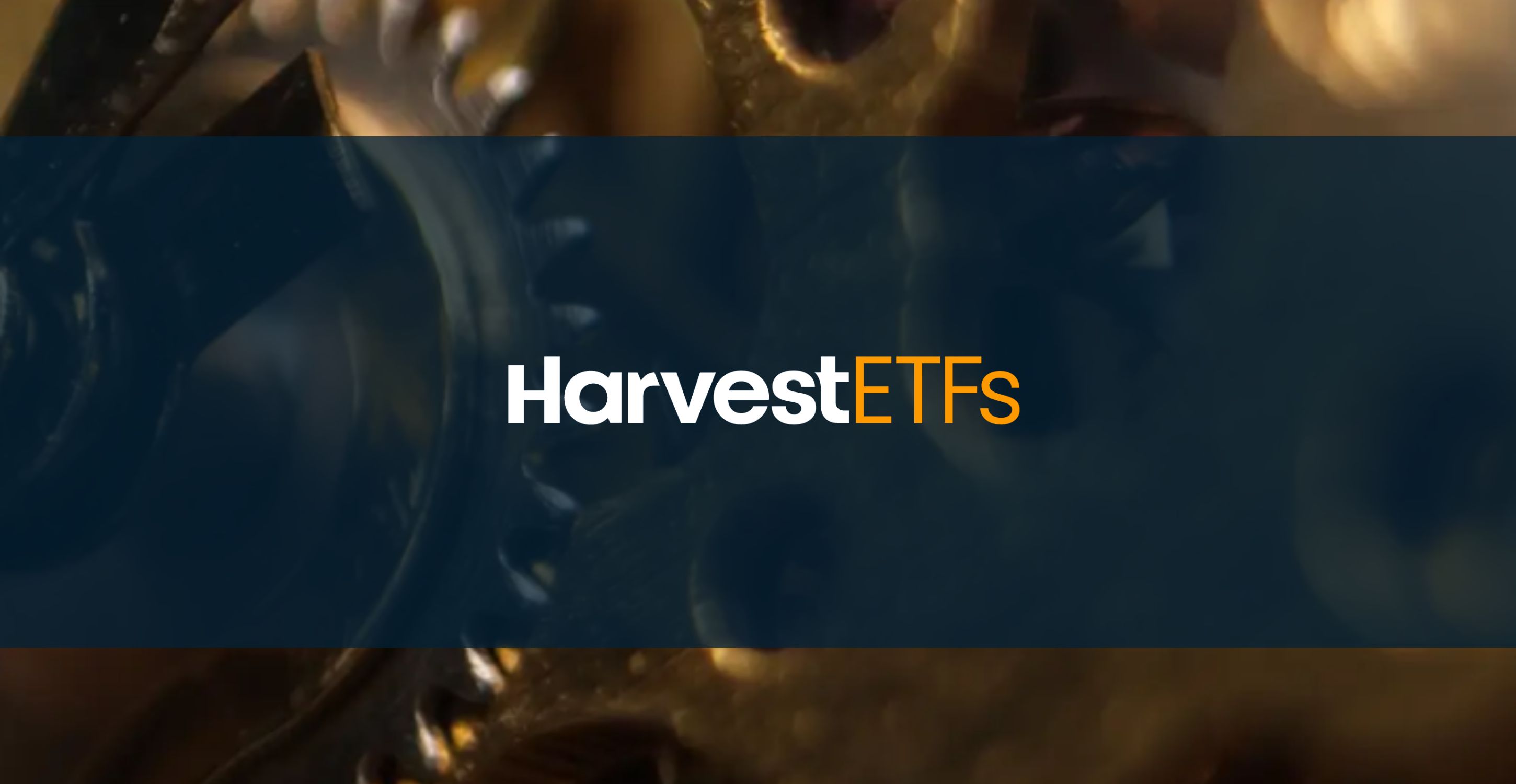 Harvest HPYE ETF Income Strategy for Volatile Markets
