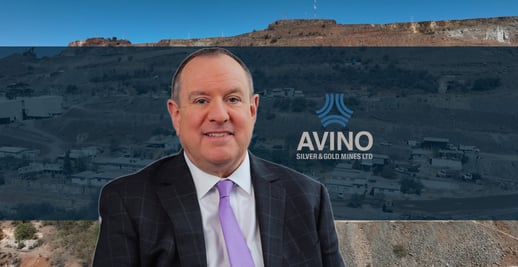Avino ceo