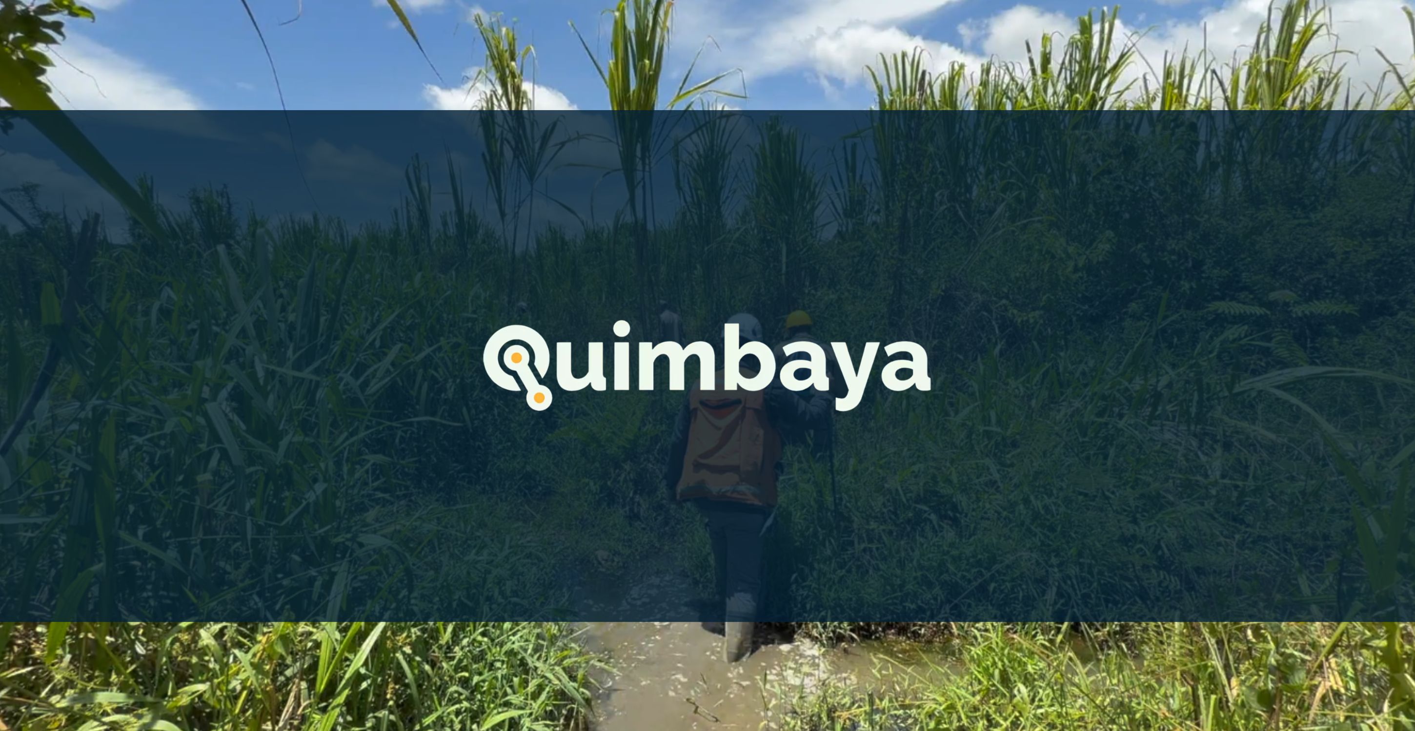 Quimbaya Gold Expands Exploration Across 66,000 Hectares in Colombia