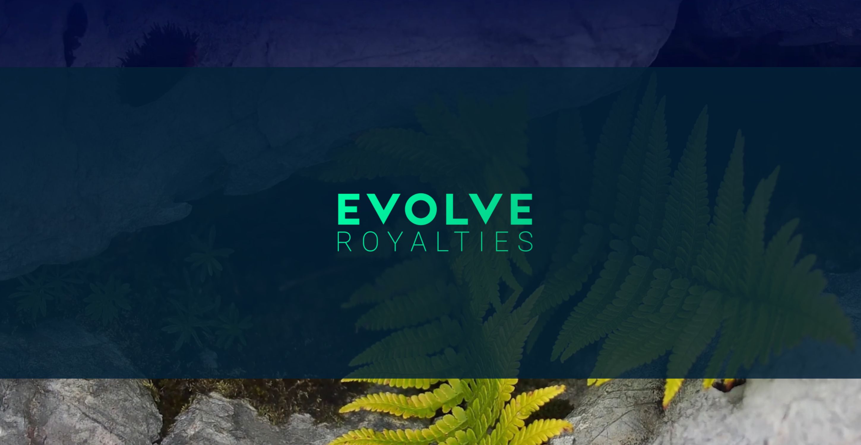 Evolve Royalties: Gaining Exposure to Critical Minerals Through a Royalty Model