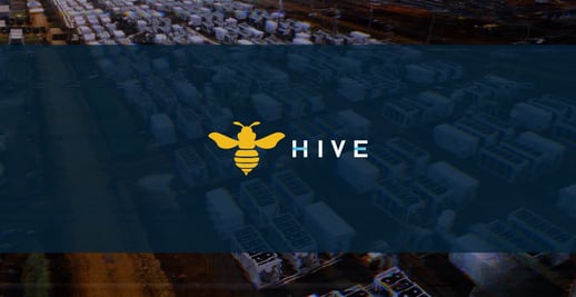 HIVE July 30