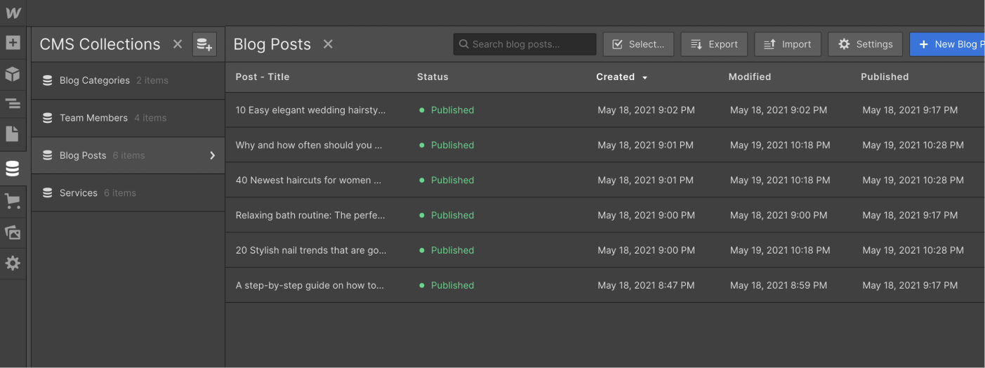 CMS Collection - Salon X Webflow Template