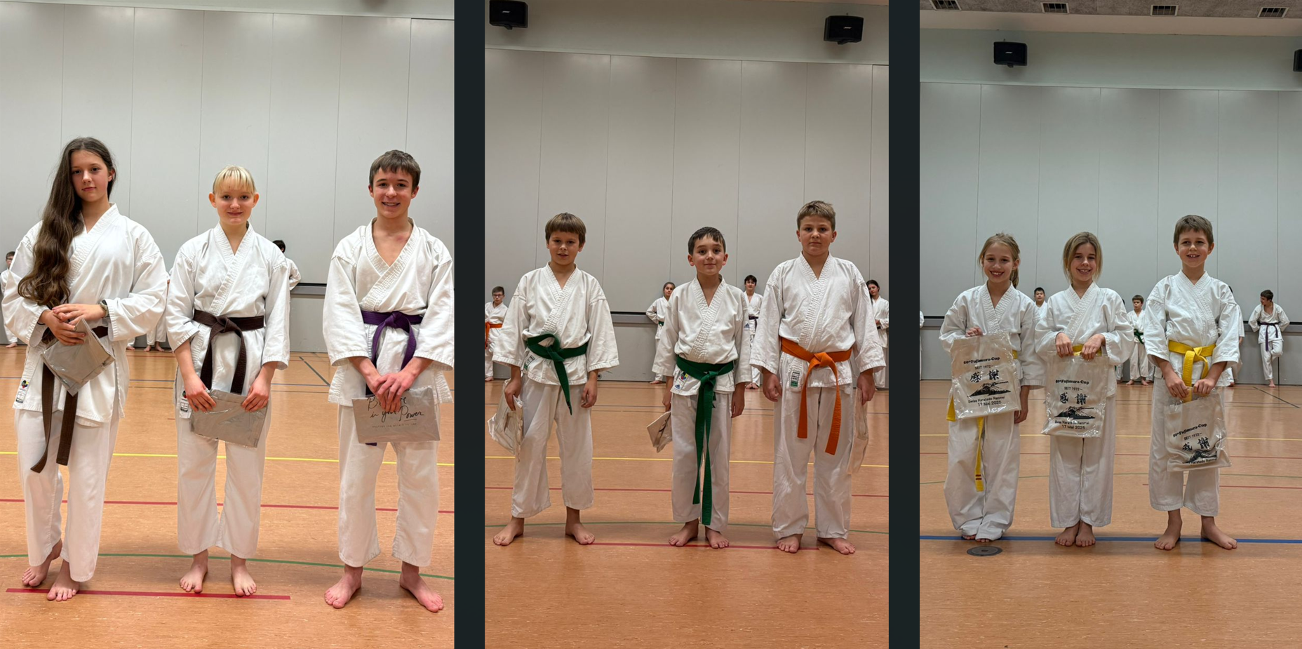 Dojomeisterschaft in Leuggern – Rückblick und Jahresabschluss