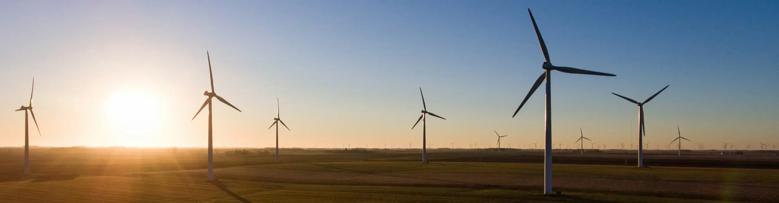 Panoramic photograph of a wind farm