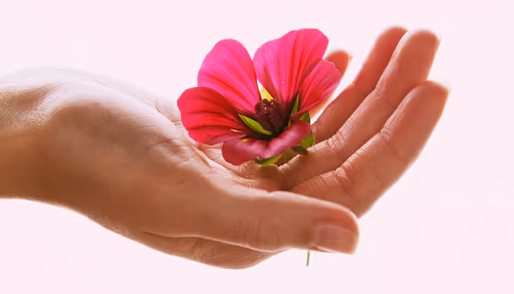 How to Have Great Sex in Menopause