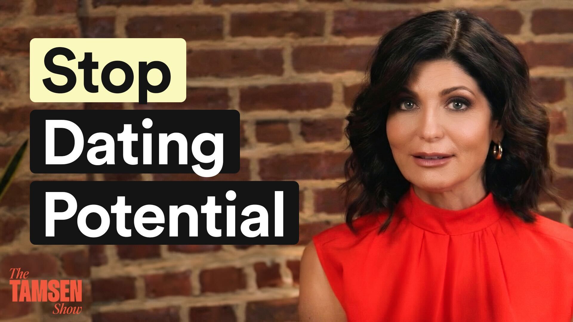 The Tamsen Show episode cover: Tamsen Fadal in red, text reads 'Stop dating potential'