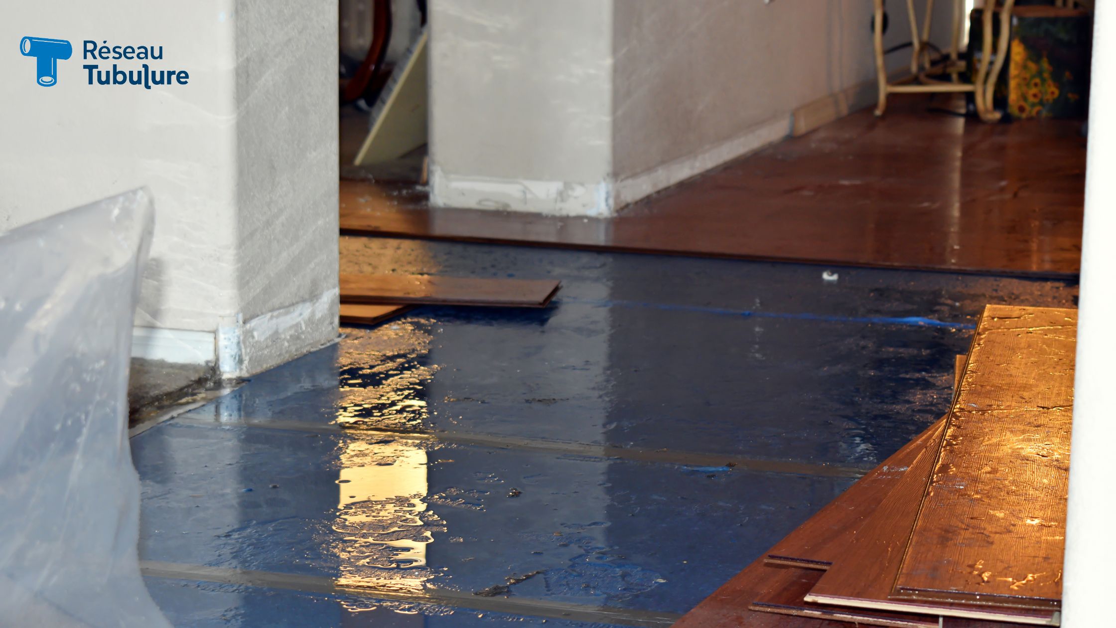 Blog thumbnail photo