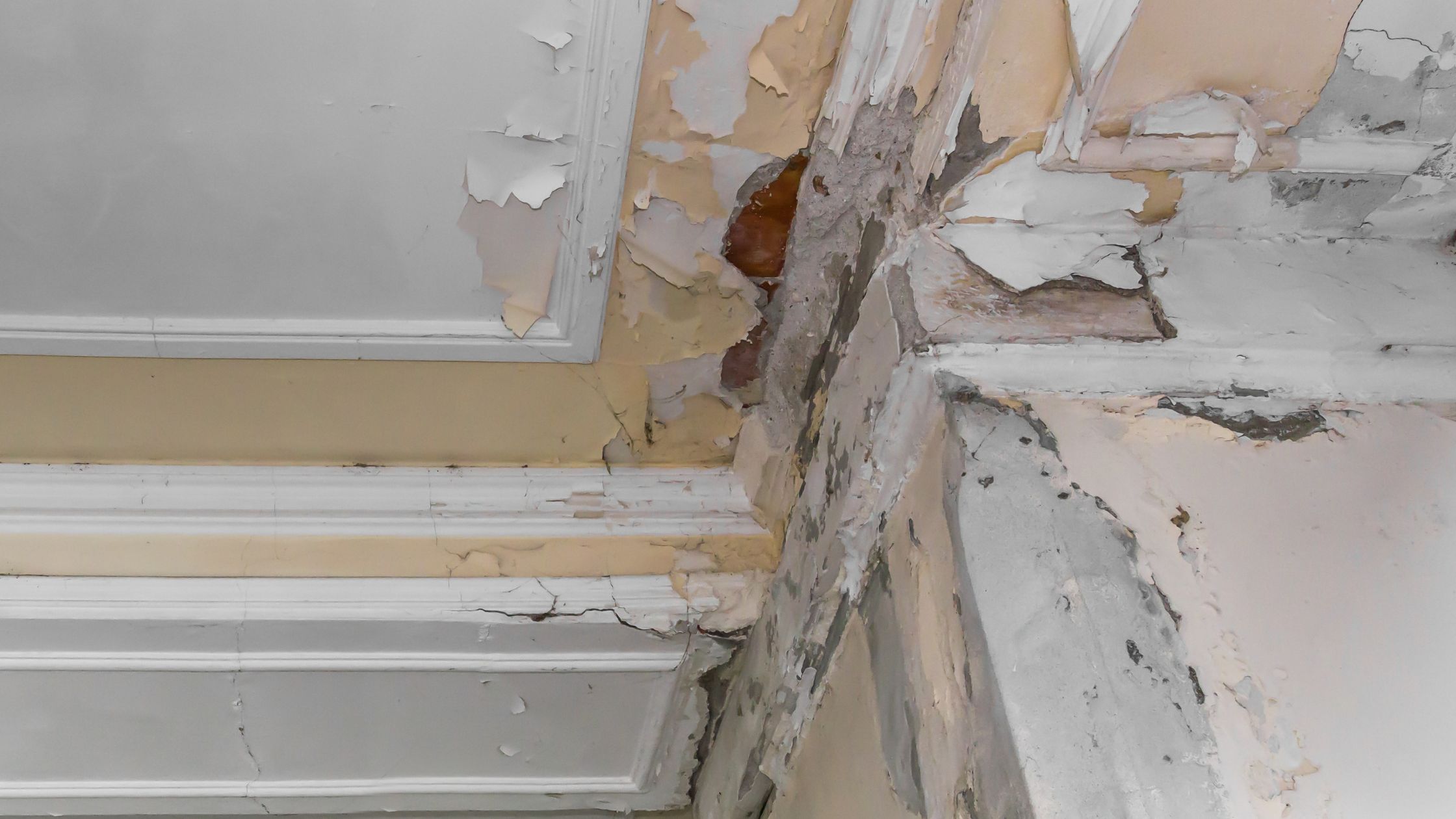 Humidité au plafond d'un appartement parisien