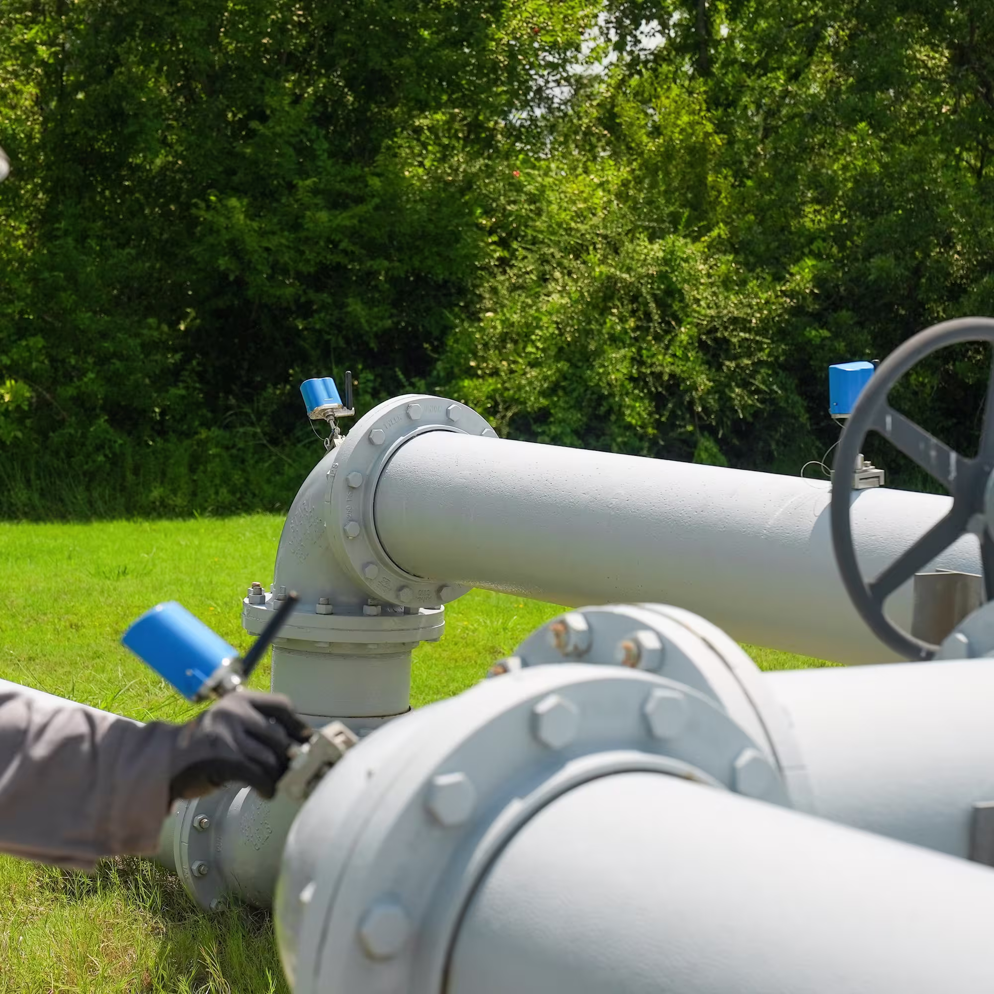 Gecko engineer collecting data
