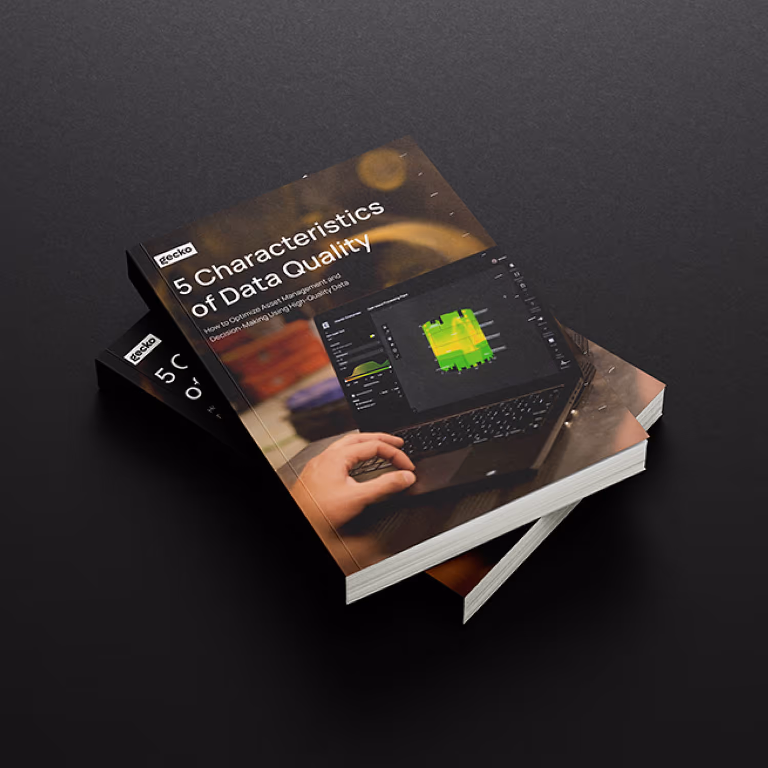 5 Characteristics of Data Quality Book