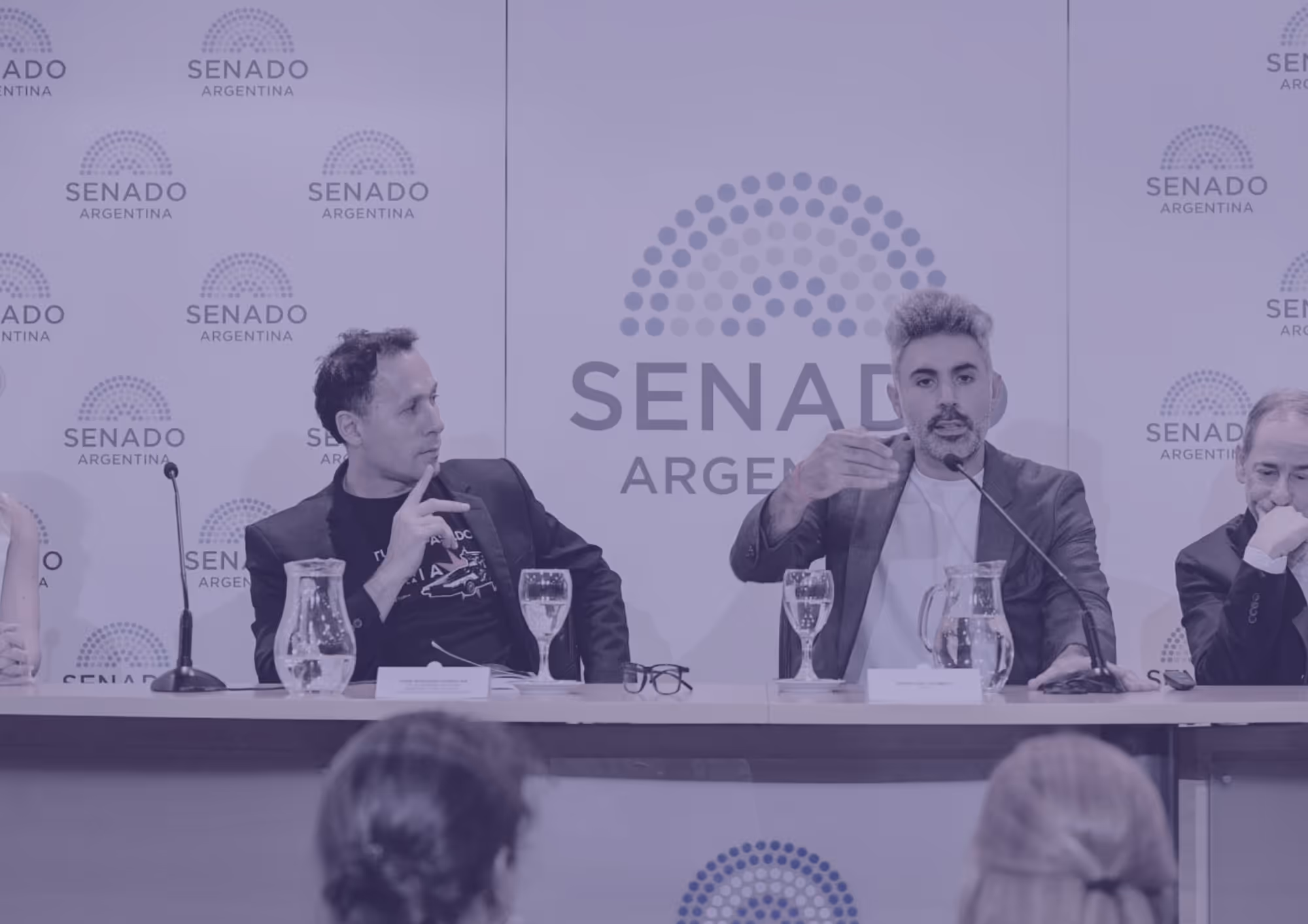 Panel of three men seated at a table speaking at a Senado Argentina event, with microphones, water pitchers, and glasses on the table.