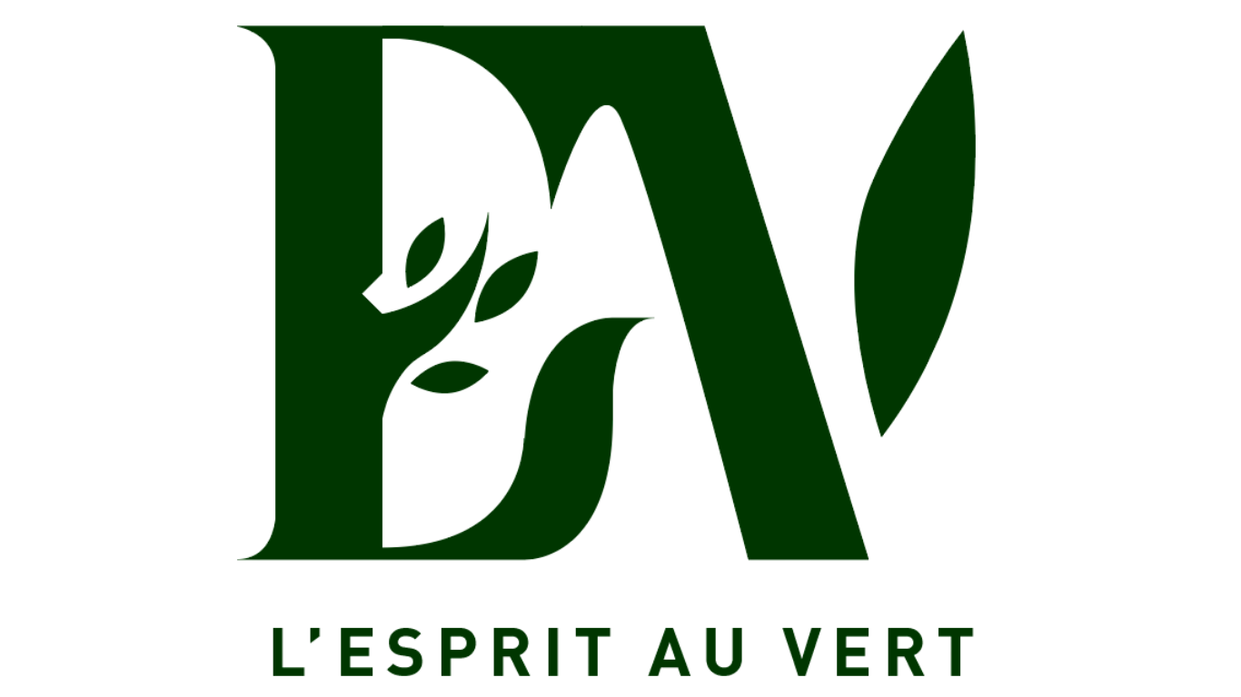 Icone EV paysage