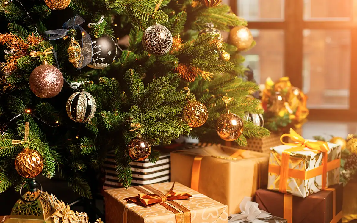 Företag och gruppbokningar