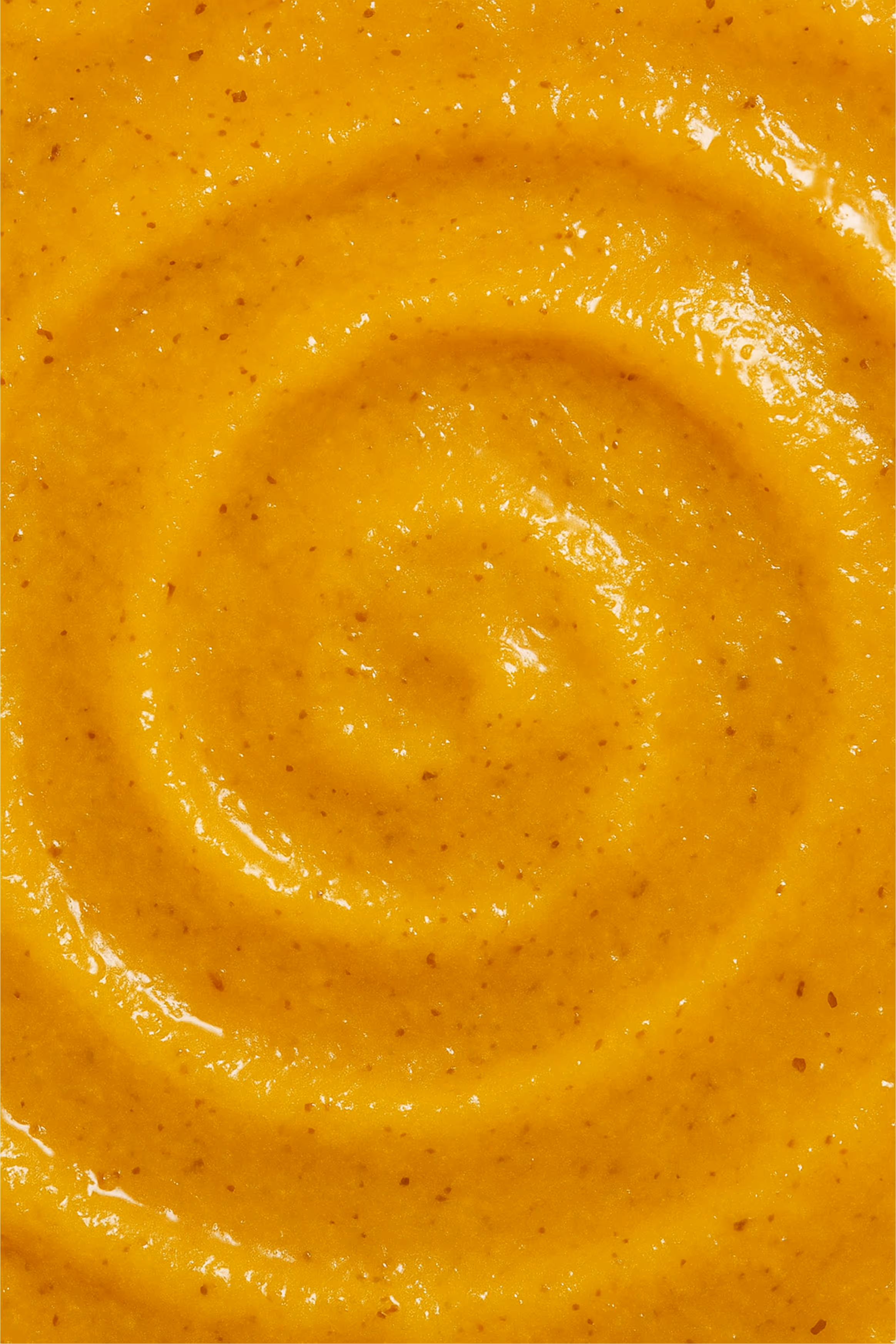 Spicy Mango Sauce