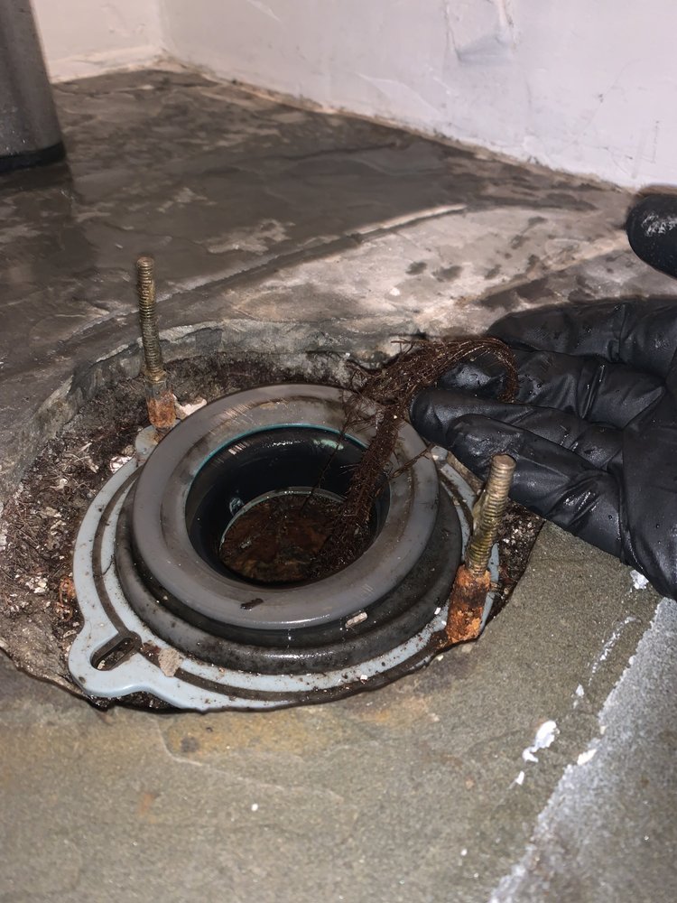 Gloved hand pulling roots from a clogged toilet flange.