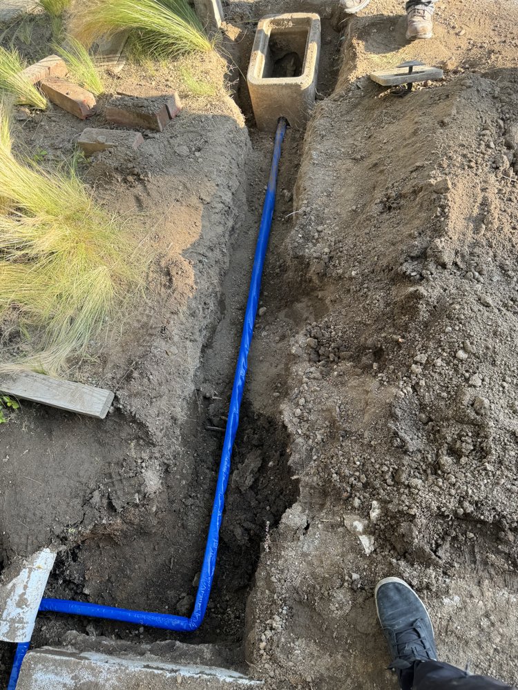 Blue water line installed in a trench during underground plumbing work.