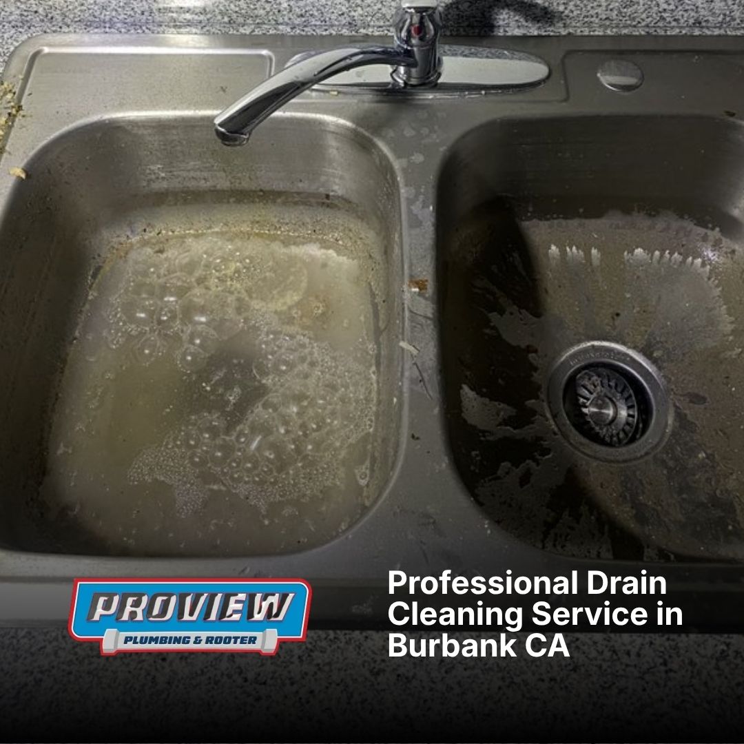 Clogged double stainless steel kitchen sink requiring professional drain cleaning in Burbank, CA.