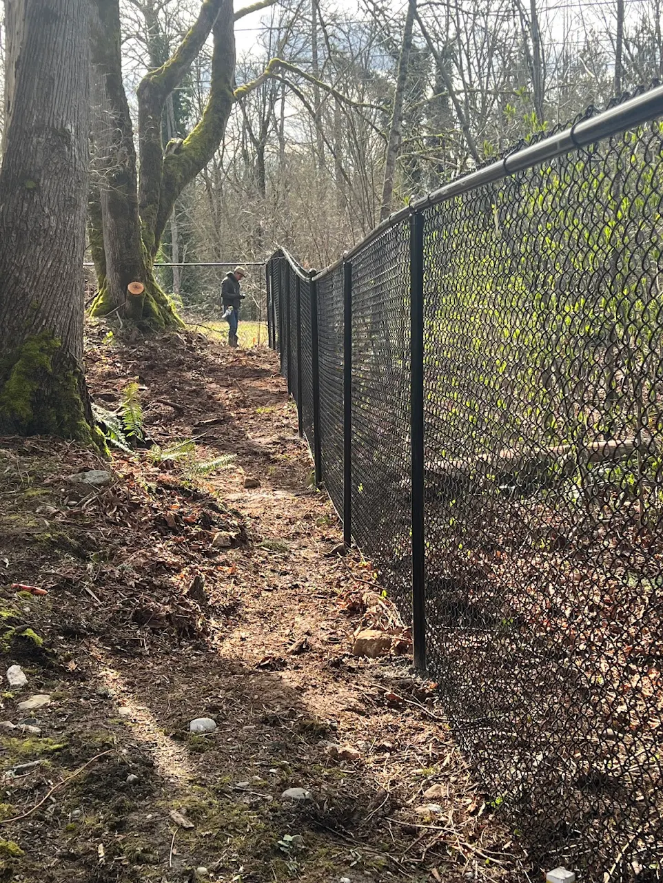 Newly installed black chain link fence running through a forested property, providing security and boundary definition