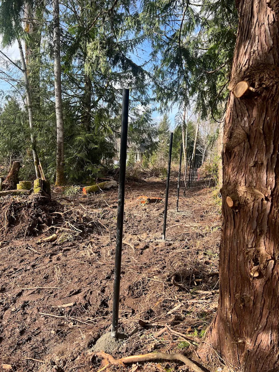 Metal fence posts set in concrete along a wooded, muddy property line before chain link installation