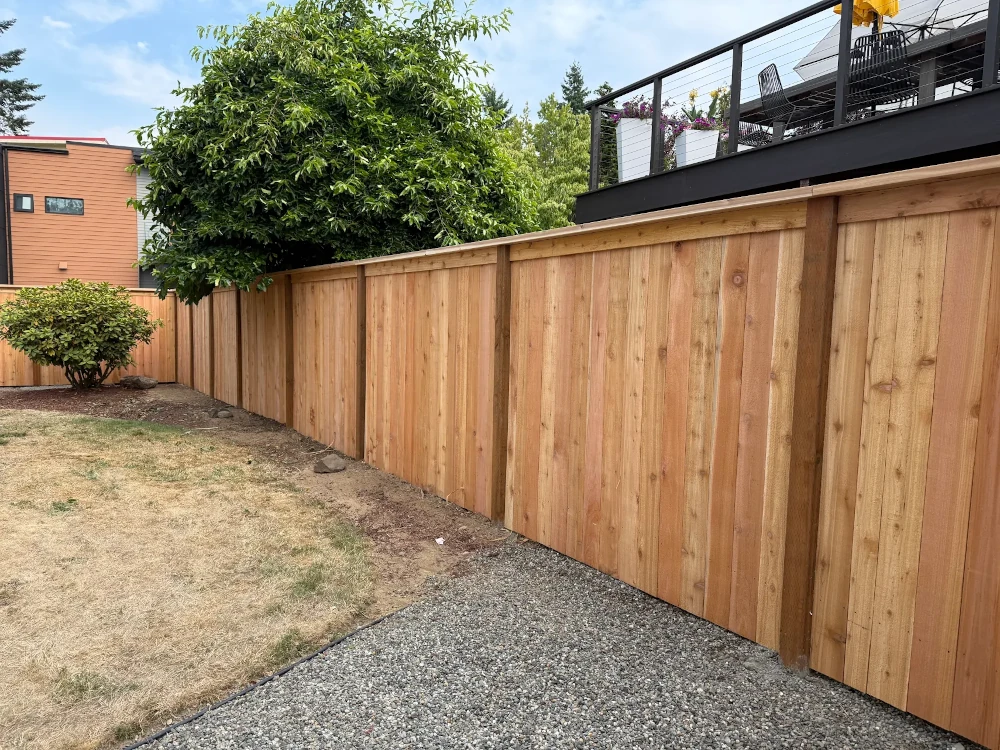Cedar board-on-board privacy fence with cap and trim, freshly installed along a backyard gravel path