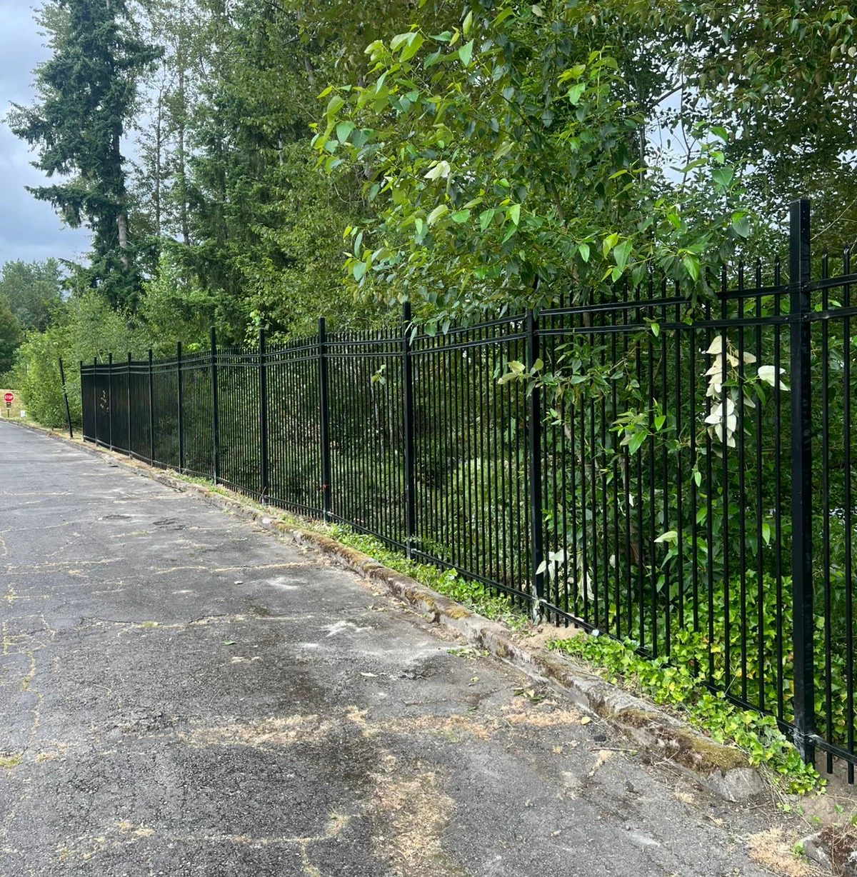 Black ornamental iron fence line running alongside an asphalt walkway near dense trees and greenery.