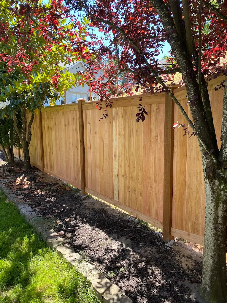 Simple wooden fence in a natural backyard setting