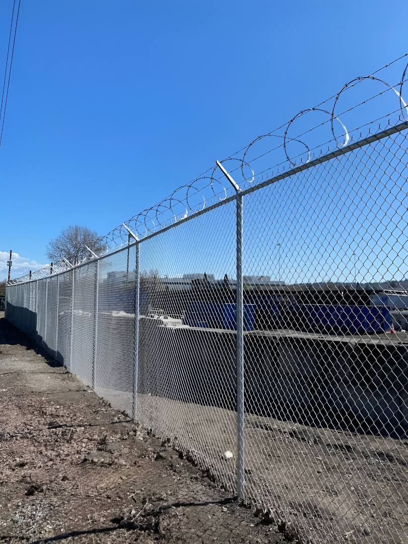 Chain link fence bordering a residential outdoor space