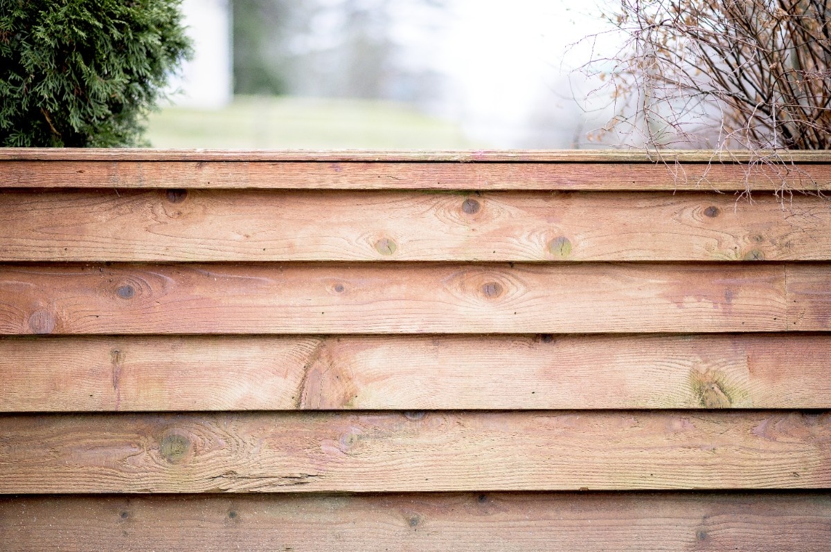 A horizontal wooden privacy fence in a Pacific Northwest yard