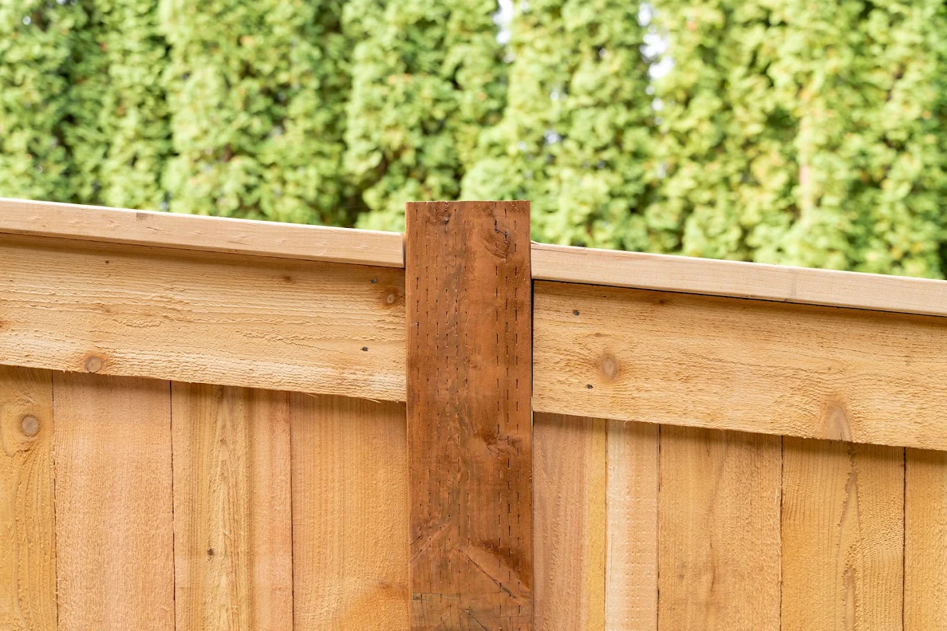 Close-up of a cedar fence post cap and top rail in a Seattle backyard