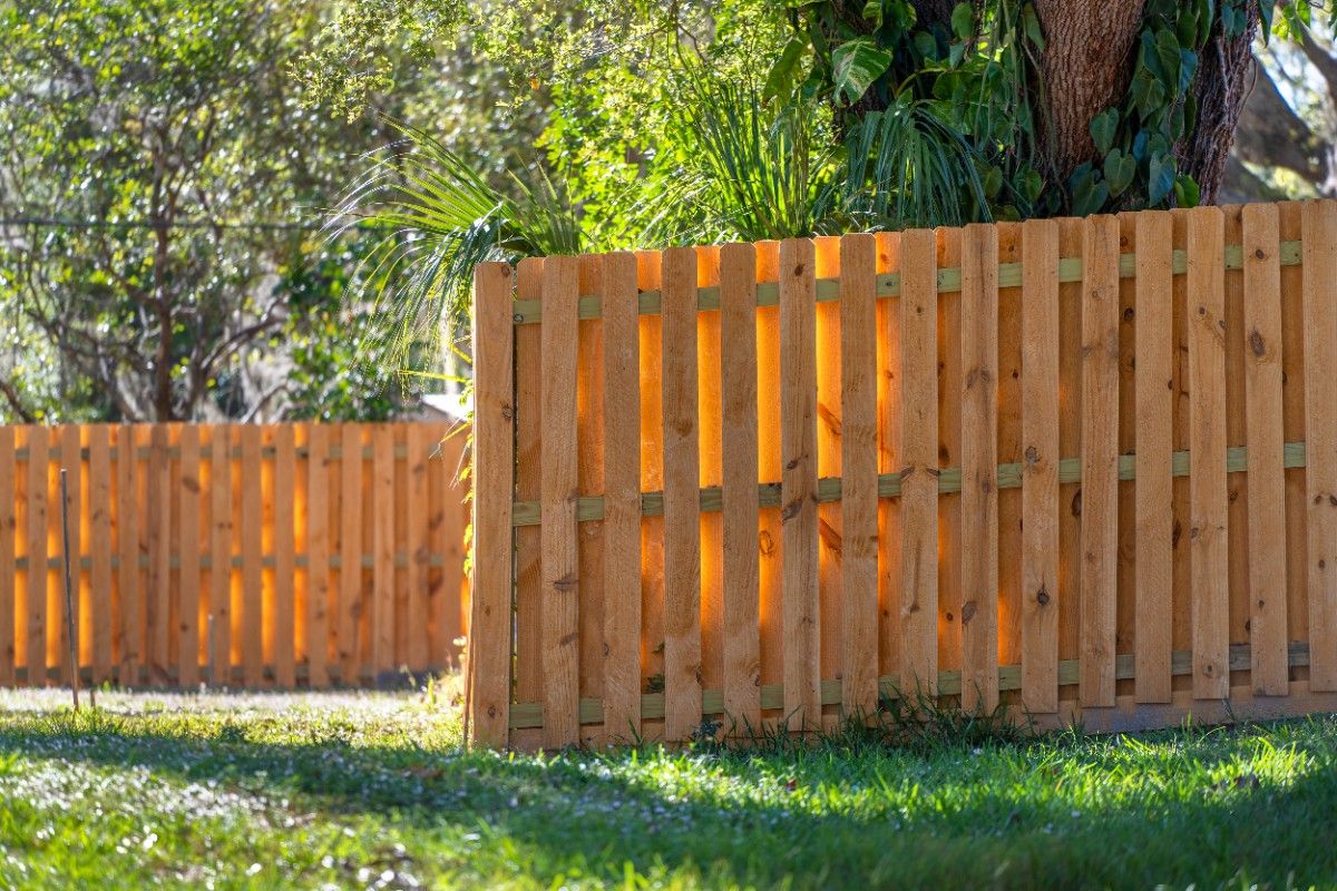 Board-on-board shadowbox cedar fence enclosing a backyard in Seattle