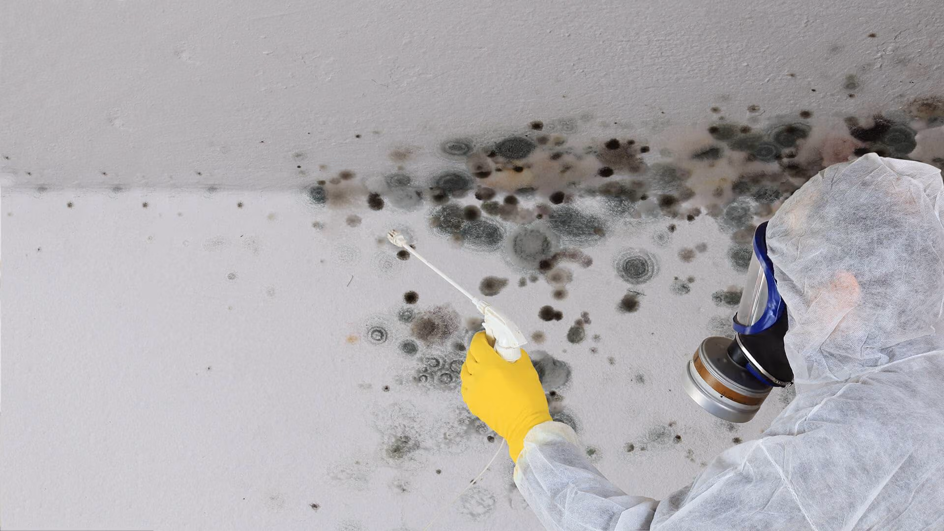 Mann in Schutzanzug beseitigt Schimmel