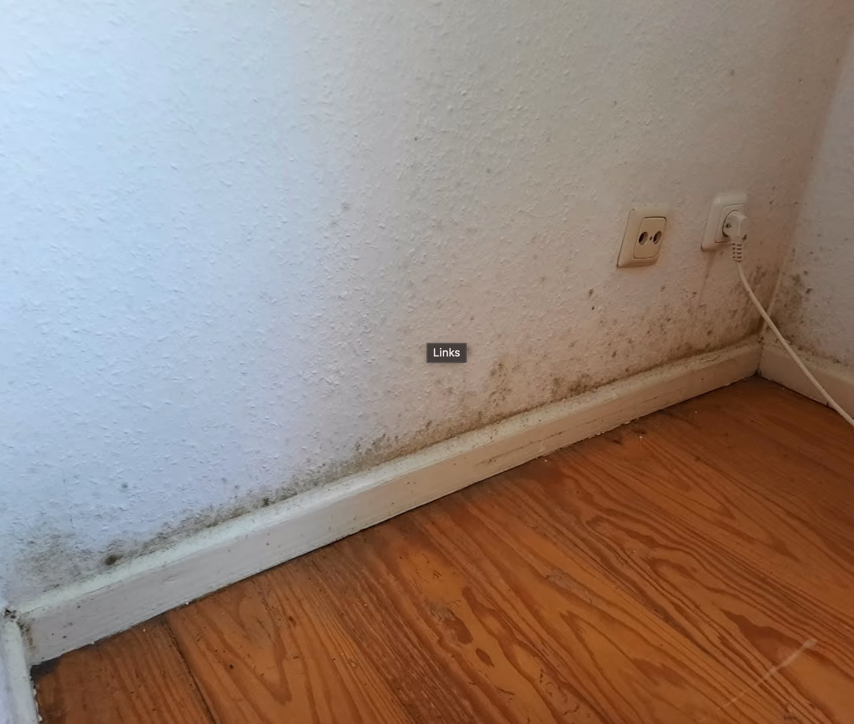 Schimmelbefall an Wand und Sockelleiste im Wohnraum vor der Sanierung