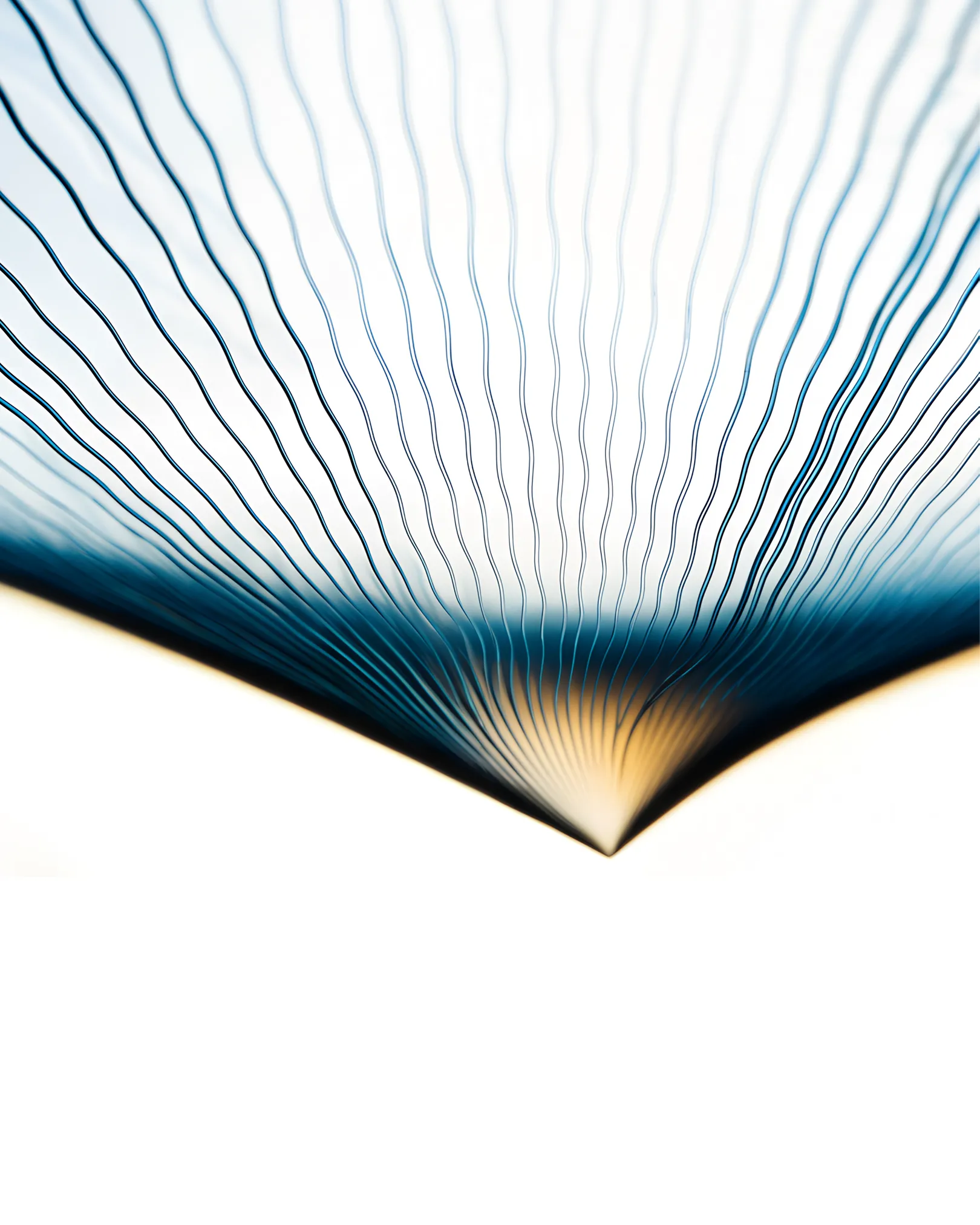 Abstracte fotografische beeldtaal met blauwe en gouden lijnen die samenkomen, passend bij de visuele identiteit van ZorgDataPunt ontwikkeld door East Creatives