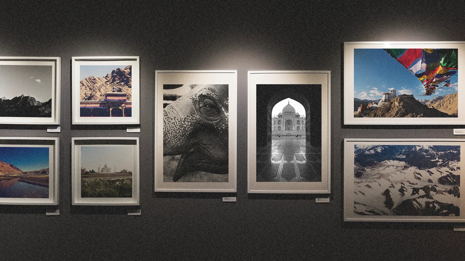 Wand met ingelijste fine art foto's, waaronder een olifant, de Taj Mahal en berglandschappen, als voorbeeld van sterk visueel ontwerp dat de aandacht trekt