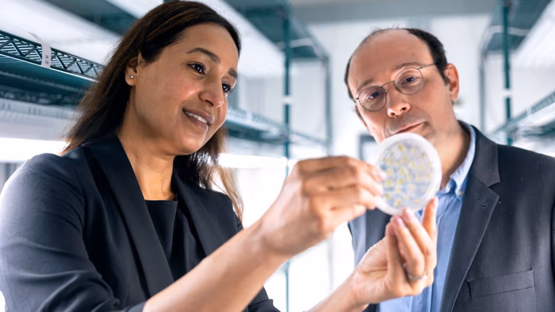Gagan Sidhu, Ph.D. '11, left, and Luc Mathis, of Meiogenix, examine seed specimens in a growth lab.
