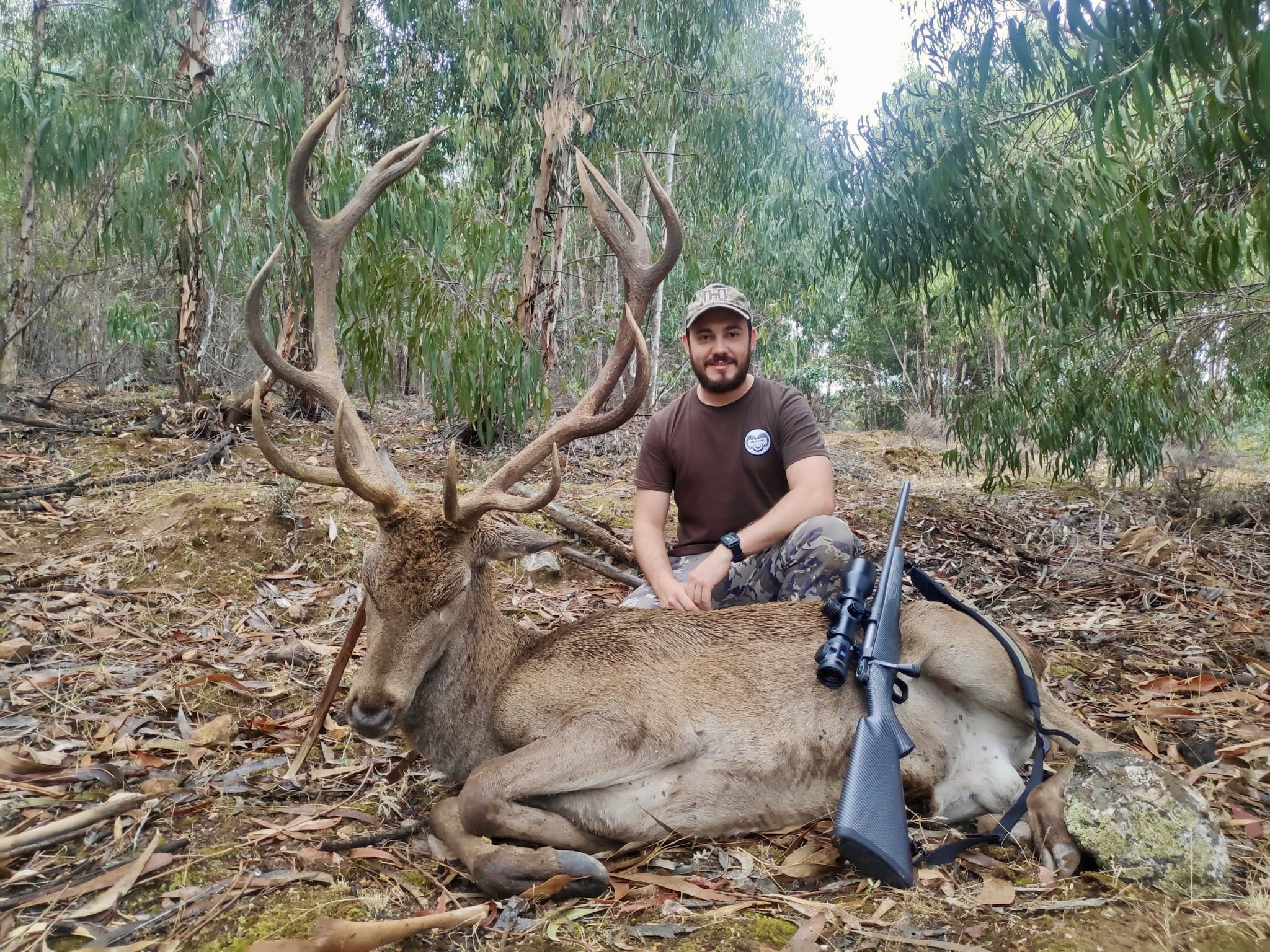Chasse en Espagne - Montéria