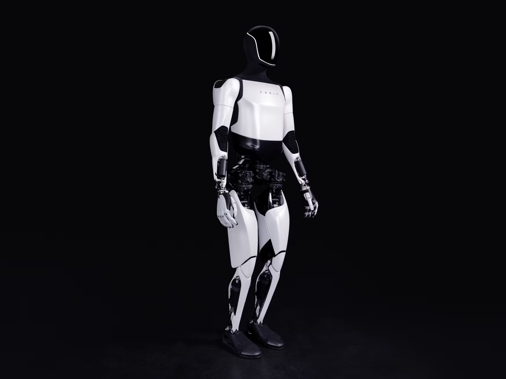 Elon Musk sets 2026 Optimus sale date. Here's where other humanoid robots  stand. | TechCrunch