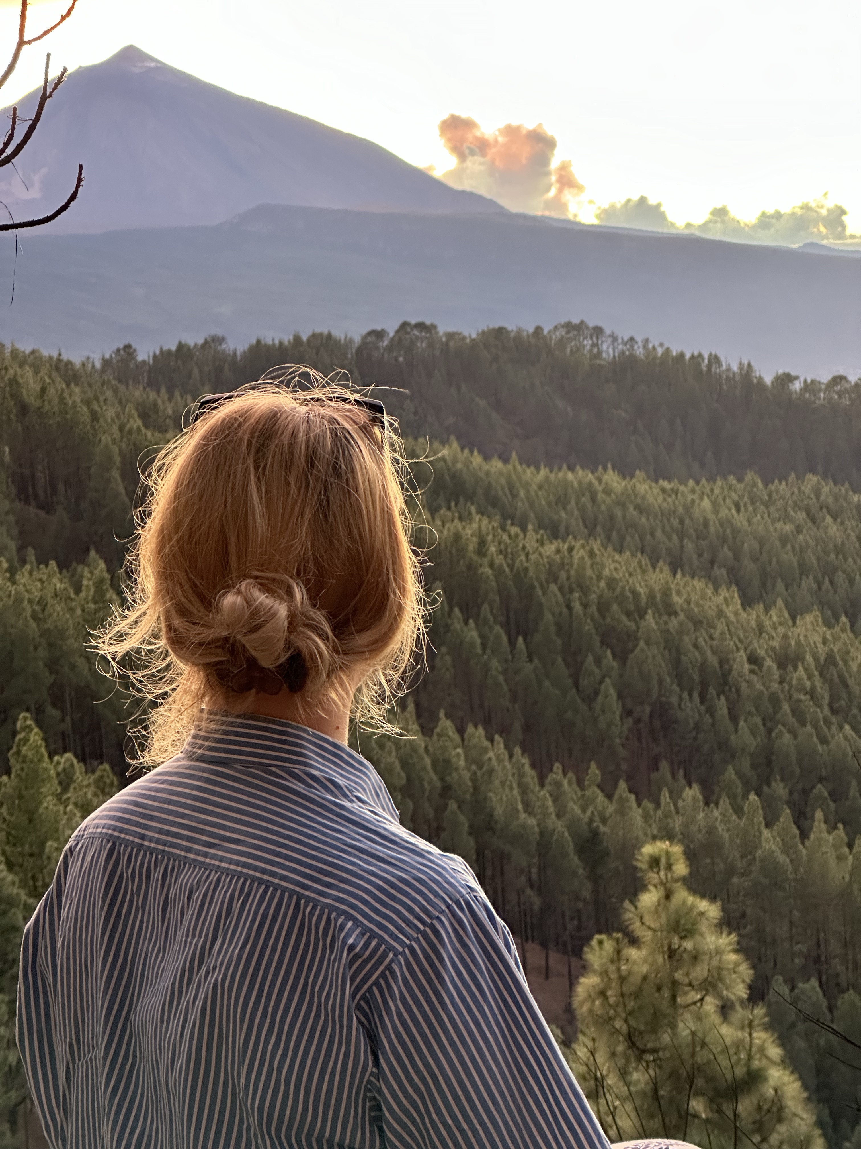 Everything You Need To Know About Compounding Before, During and After Menopause